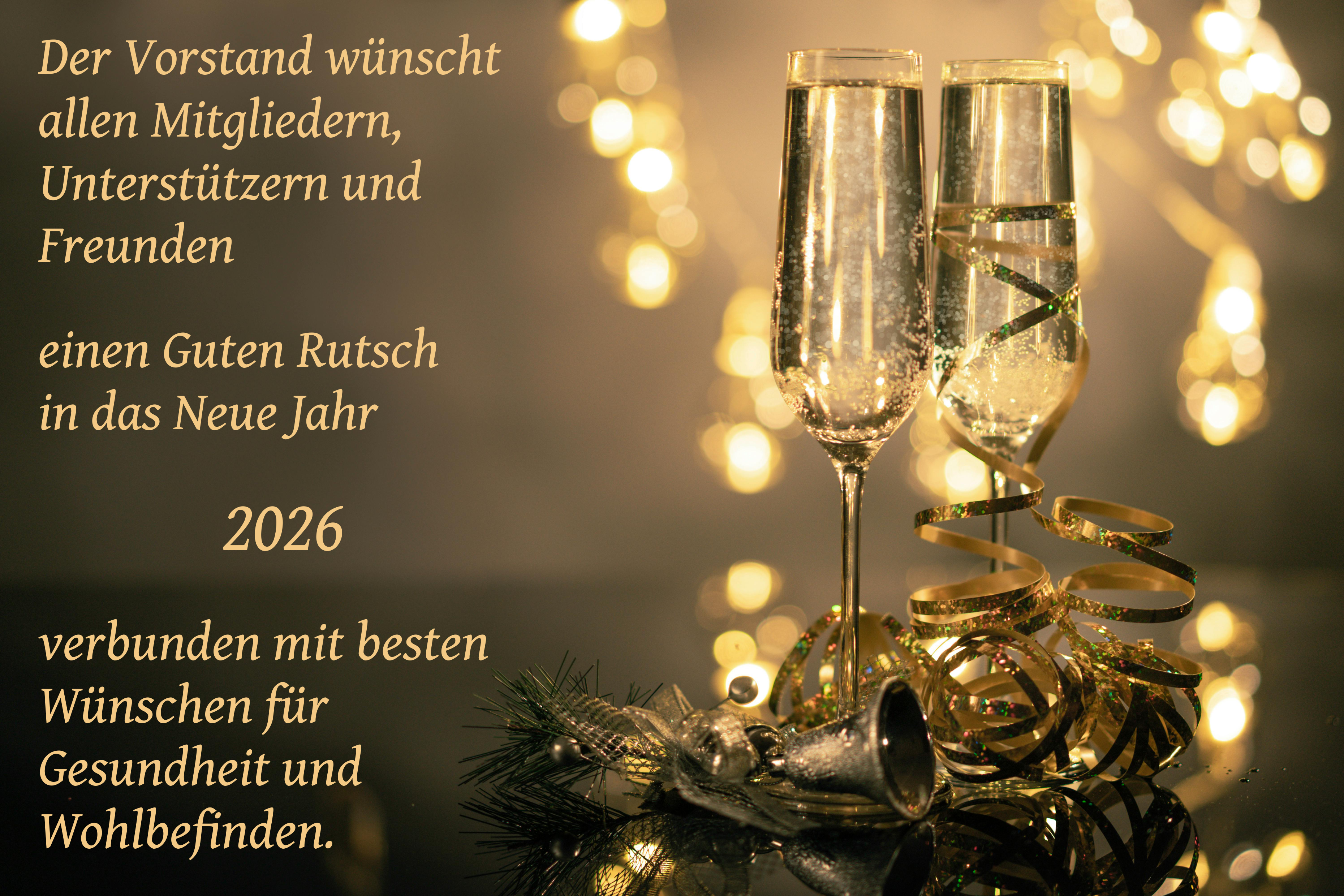 <span>Neujahrsgruß 2026<br />Bild: DMSG LV Sachsen-Anhalt e.V., Hintergrund: pexels.com - freestock</span>